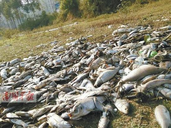 ������������~�� �~�������D