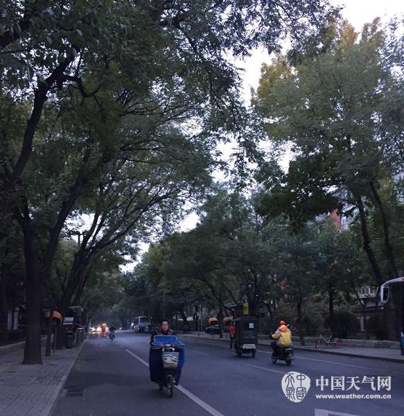 7���糿�����������F����ɢ��������^������������������������� �z��