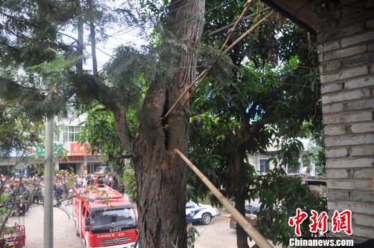 ���R���ߡ�ʧ�㡱����䶴�ྯ�N(li��n)�ӡ��ơ��߽���n