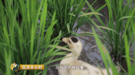 �Nˮ��Ҳ�ܮ�(d��ng)