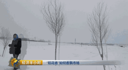 �Nˮ��Ҳ�ܮ�(d��ng)