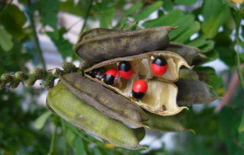 �L(zh��ng)�ژ�(sh��)�ϵ���˼��