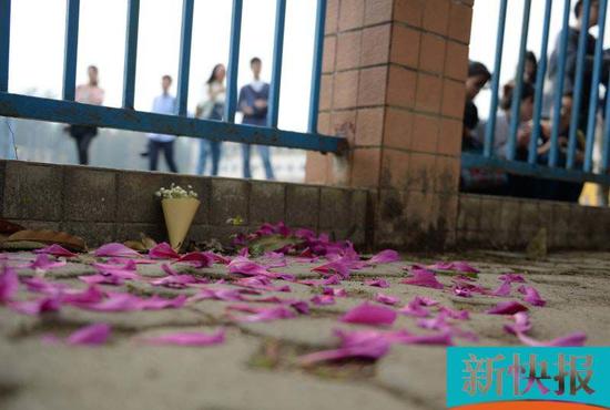 �F(xi��n)����ͬ�W������[�����μ��а�˼���¿��ӛ�� �O�� / �z