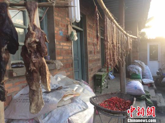 云南普洱:“90后”傣族小伙春節(jié)返鄉(xiāng)記