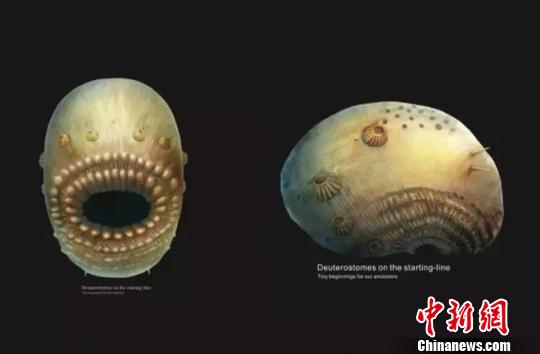 ������W���ЈF�������l(f��)�F(xi��n)��΢������h�����H��