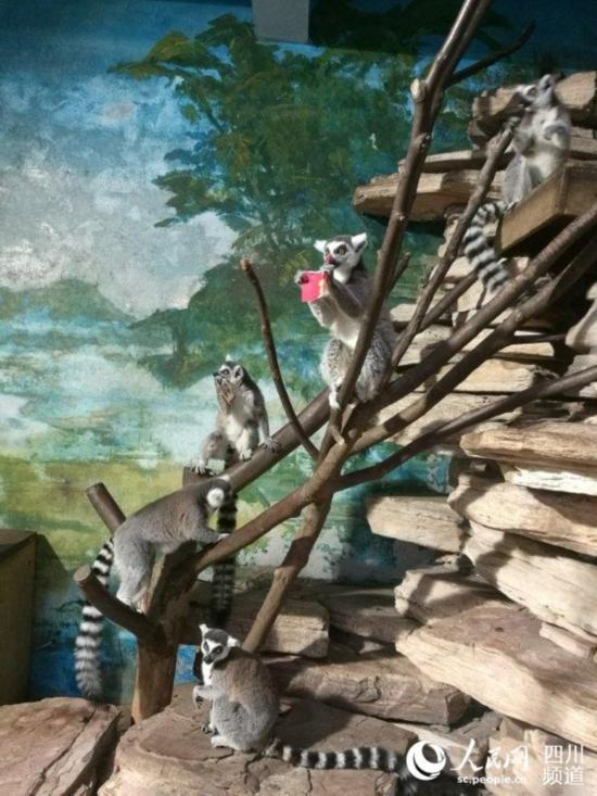 ������ܡ��t�����е���ζʳ�������� �z