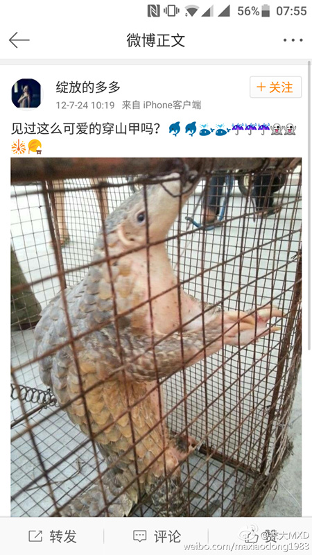 �W(w��ng)�ѣ��ɐ۵Ĵ�ɽ����Ҳ���ĳ���