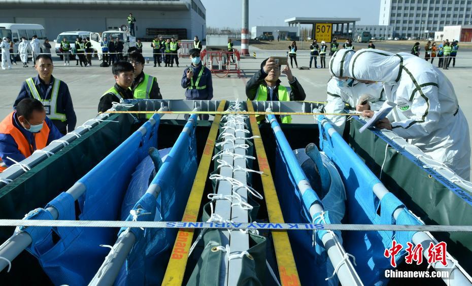 �ӱ��״Ό��C(j��)���\(y��n)�����뾳