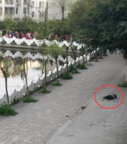 �����w���ΰl(f��)���߉�������֮ǰ���׽��v��ʲô�������·Q�������C�P�����{�顱��