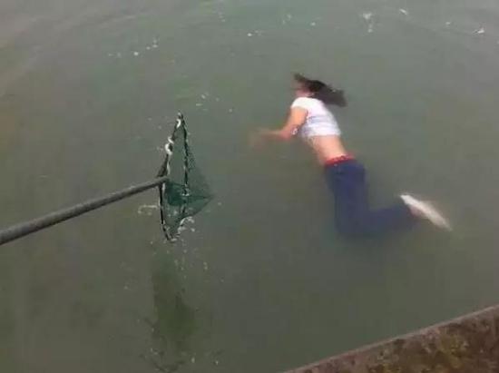 網(wǎng)絡(luò)資料圖