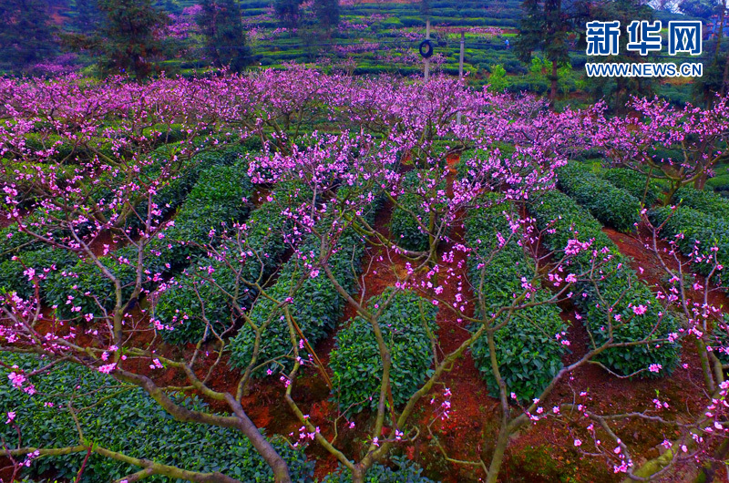 ���W(w��ng)�j(lu��)ý�w���D(zhu��n)�ģ����L(f��ng)���� ����üɽ�ߵ��h���p�һ�