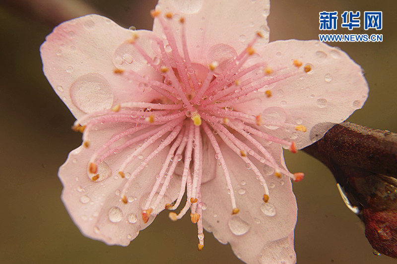 ���W(w��ng)�j(lu��)ý�w���D(zhu��n)�ģ����L(f��ng)���� ����üɽ�ߵ��h���p�һ�