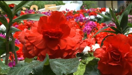 ���r���e�е�20�ý����ջ���(ji��)�o(j��)��������Q����