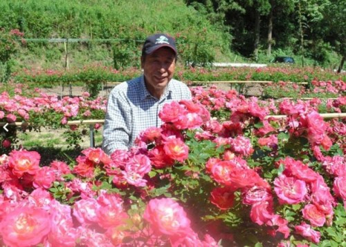 Ұ߅���۞�Ą�����Ӷ��N��1�f��õ�塣�����괺�죬õ���״ξ`����