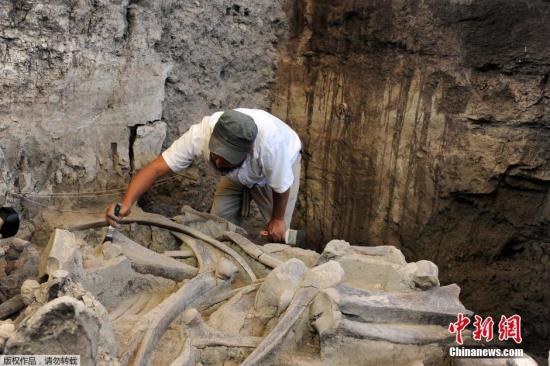 ����������ʯ��2015��12�±��l(f��)�F(xi��n)�������������r(sh��)����