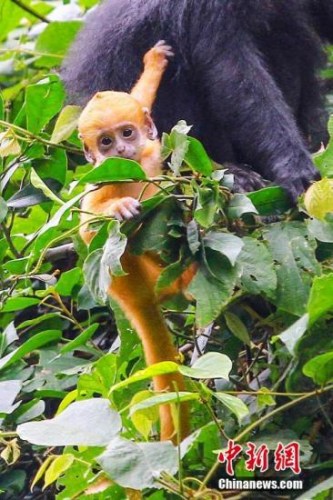 �Y�ψD������