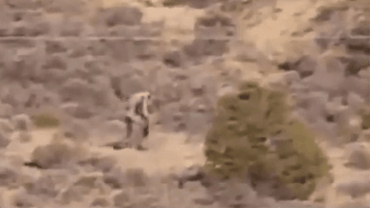 ��Ѫ���֫F�٬F(xi��n)?������ɳĮ�F(xi��n)���ι֫F ����һ������