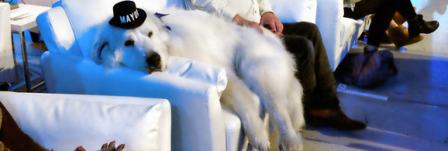 �������(zh��n)�L(zh��ng)��������(gu��)С�(zh��n)�x���(��i)��3�ȳɹ���(d��ng)�x