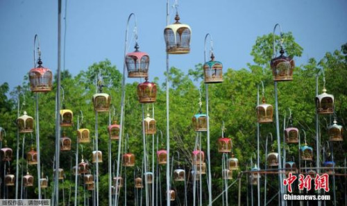 ��ِ�F(xi��n)��