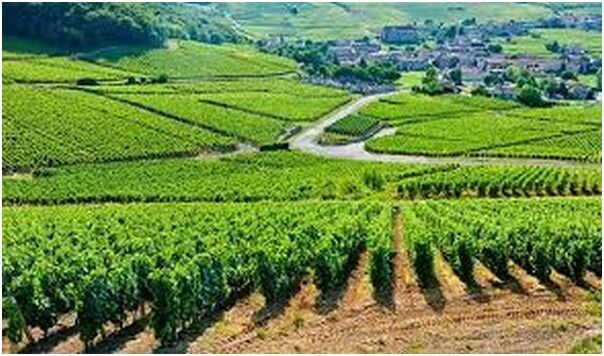 �������޵����ш@�l��͵�`  �r(n��ng)��M��Ѳ߉�ҹ�g���o