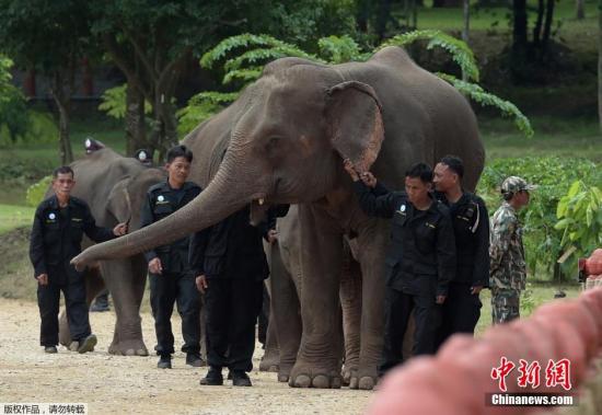 �Y�ψD��������