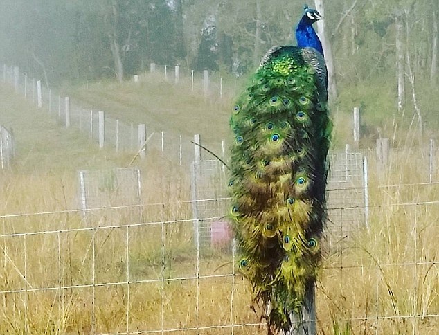 �r(n��ng)�����B(y��ng)��ȸ��(d��ng)���� �������B���uȺ�����o(h��)��