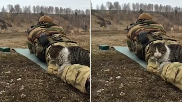 ��؈��F(xi��n)�����Ӗ(x��n)����(ch��ng)�� �(zh��n)���������l(f��)�hՓ