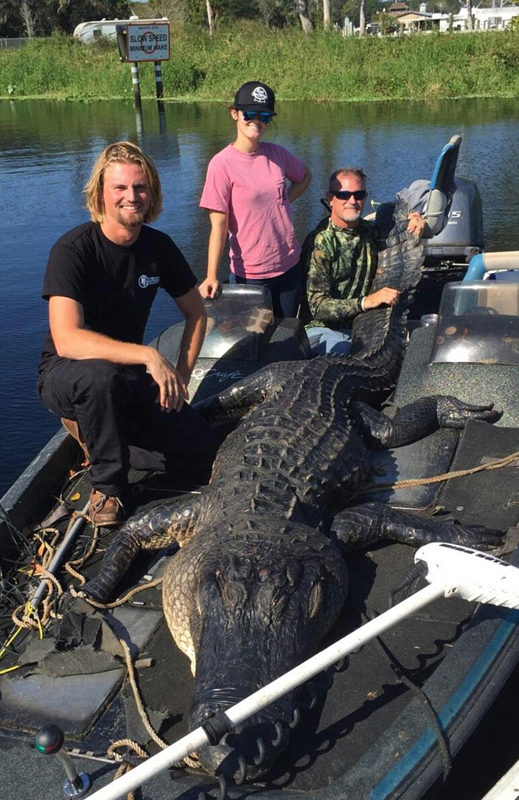 ���C�˲��@�s4���L(zh��ng)���Ͷ����{ ���_(d��)635��