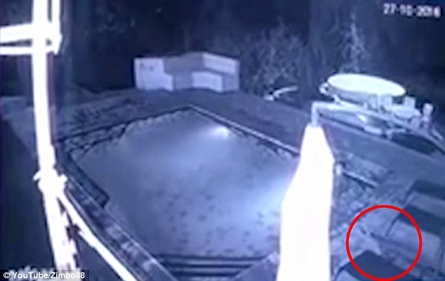 ��ǰ��һ����H�ڷ��޵�һ�g���^��Ӿ��ҹ�Εr(sh��)��һֻ�{�~ͻȻ���M(j��n)���g���r(sh��)����c(di��n)׃�����Ѫԡ��