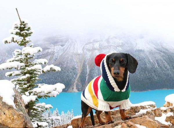 ��(j��)Ӣ��(gu��)��ÿ���]��(b��o)����(b��o)�������ô�7�q���D�cȮ�������ǂ�(g��)�W(w��ng)�t�����ڡ�Ę�V�����ѾW(w��ng)վ����140�f(w��n)���۽z��