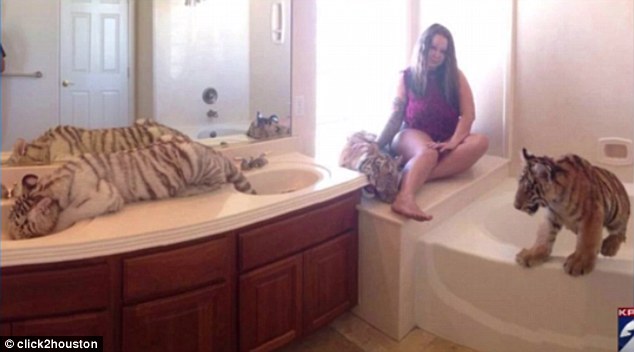 ���Ů����Σ������ĸ�H�ڼ���ɢ�B(y��ng)�{���ϻ�