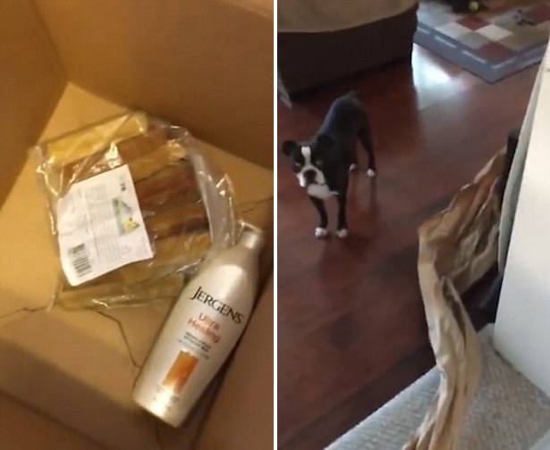 ������W(w��ng)ُ���f���а��b�����L�_(d��)21��