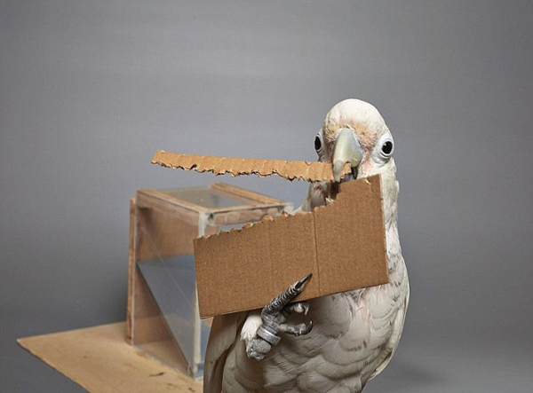 �@���^ֹ���W�^Ҳ��(hu��)�������߫@ȡʳ��