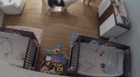 �O(ji��n)��