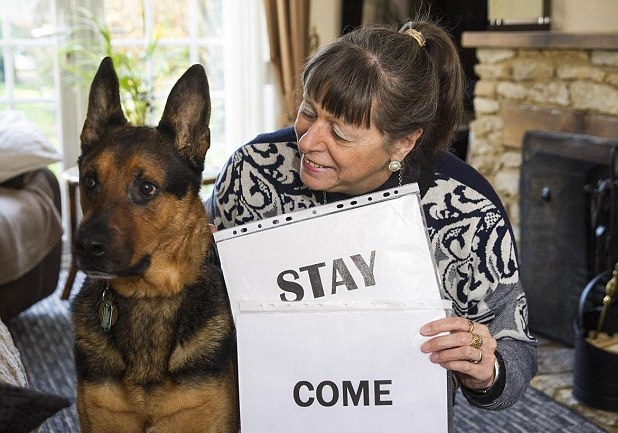 Ӣ���˹�׃��ȫ�ܹ� ��یW(xu��)��(x��)�� ����