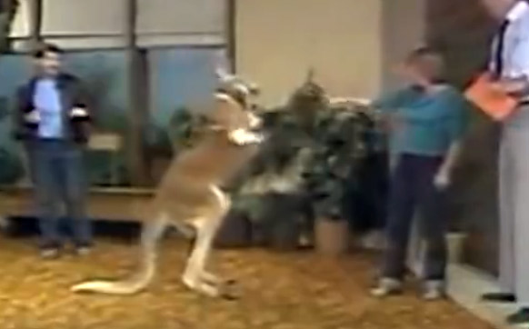 ߀ӛ���ϴ���ֻ���Pʺ�ٴ��ɵĴ�����������ֻ����������������������(y��n)����׃?n��i)�������һȭKO���