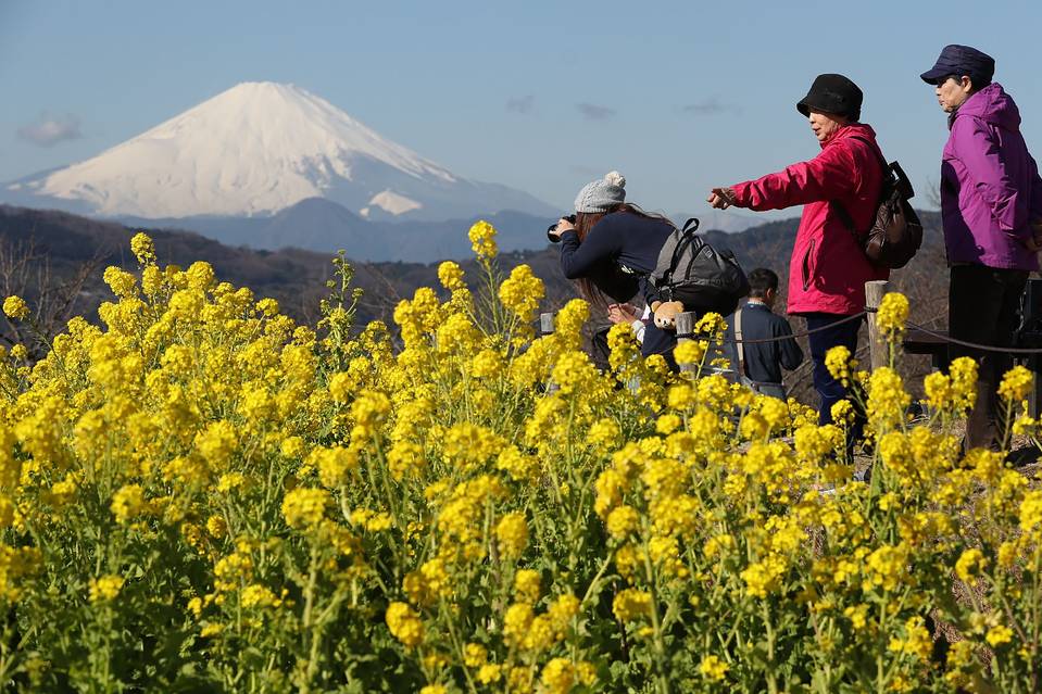 2016�기������ο͔�(sh��)����(chu��ng)�o(j��)��¸� �Ї��ο����