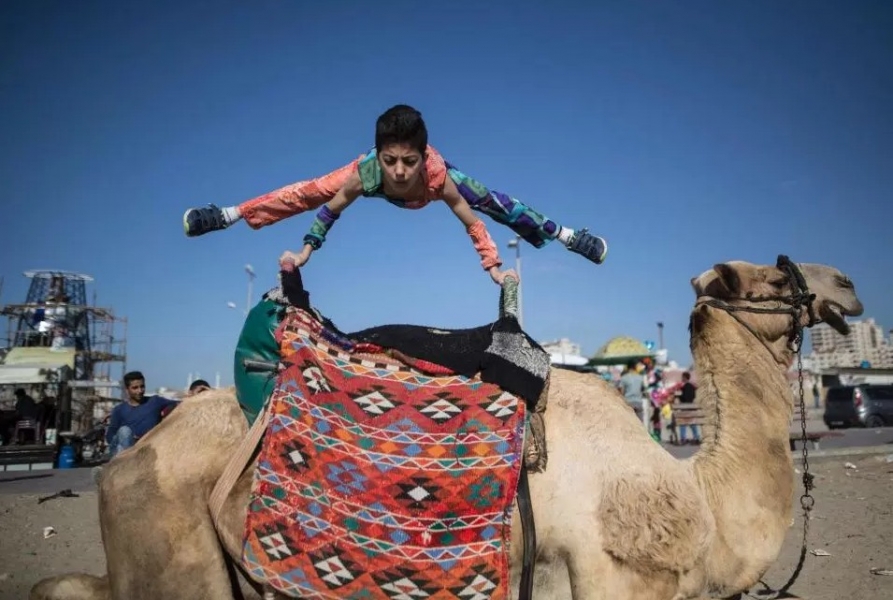 ܛ���l(f��)ָ!12�q����ȫ��365�ȟo�������D(zhu��n)