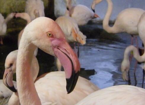 �o��ꡰ���������q��򡱺��o���w�� ֻ�����п���