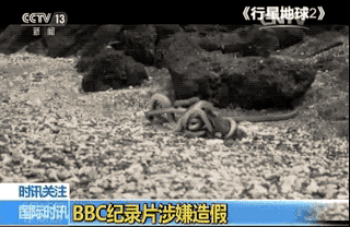 ����(j��)Ӣ��(gu��)ý�w��(b��o)�����@һĻ�Ǻϳɵ���