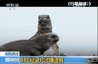 Ӣ��(gu��)�V����˾���J(r��n)