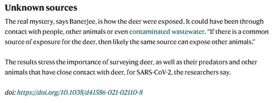 �h(hu��n)�����^��ح��ʽ�����β�����֮����ƴ�����w��������ʲô