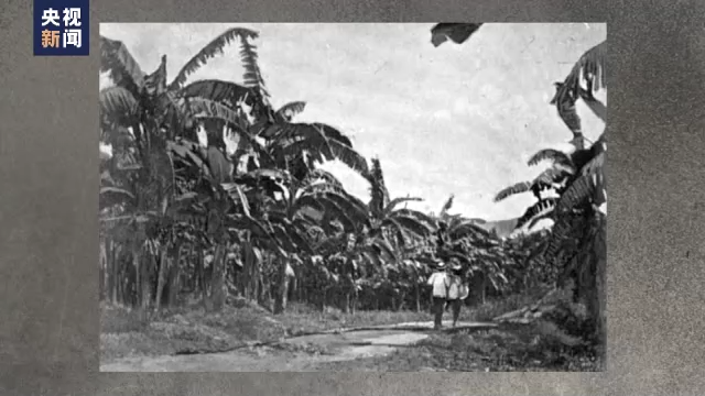 �����ӊZ ��ռ?j��)Ŕ?��ʽ���Ե����M������