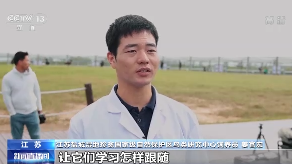 世界候鳥日丨我國(guó)生態(tài)環(huán)境持續(xù)改善 吸引候鳥駐足“加油”