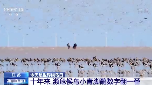 世界候鳥日丨我國(guó)生態(tài)環(huán)境持續(xù)改善 吸引候鳥駐足“加油”