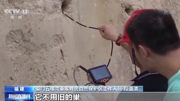 世界候鳥日丨我國(guó)生態(tài)環(huán)境持續(xù)改善 吸引候鳥駐足“加油”