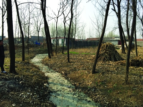 人民日報評“486名臺兒莊將士埋骨荒野67載” 人民日報評“486名臺兒莊將士埋骨荒野67載”