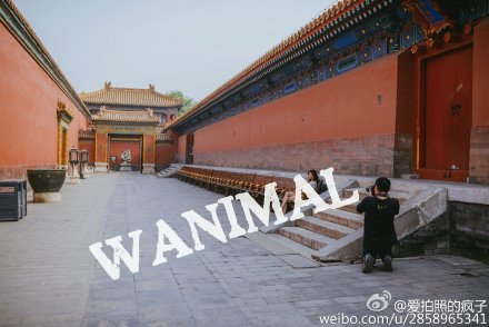 �zӰ���ڹʌm��(n��i)�Ĕz���wˇ�g(sh��)�������h(�D)