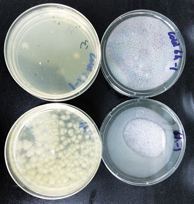 ��ؗl����Ʒ(��)��������Ʒ(��)�о��係��(sh��)�������@��