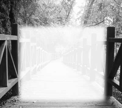 臺拉拉山探美記:自然保育有真經(jīng)幼鳥跌落有人管